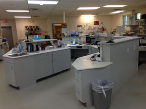 contour_specialists_lab_1