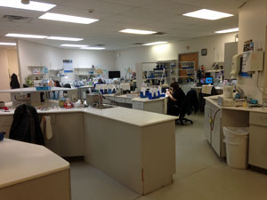 contour_specialists_lab_2